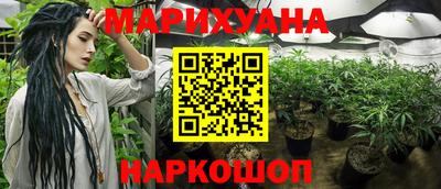 PSILOCYBIN Краснознаменск