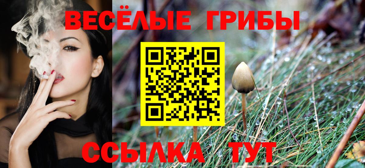 Псилоцибиновые грибы мицелий  Вход с VPN  Псилоцибиновые грибы GOLDEN TEACHER  Чита 