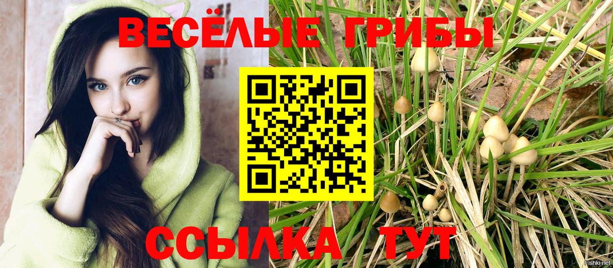МАРИХУАНА  КОКАИН  Мефедрон кристаллы  ГАШИШ  А ПВП СК кристаллы  Вход с VPN  Чита  ГАШИШ 